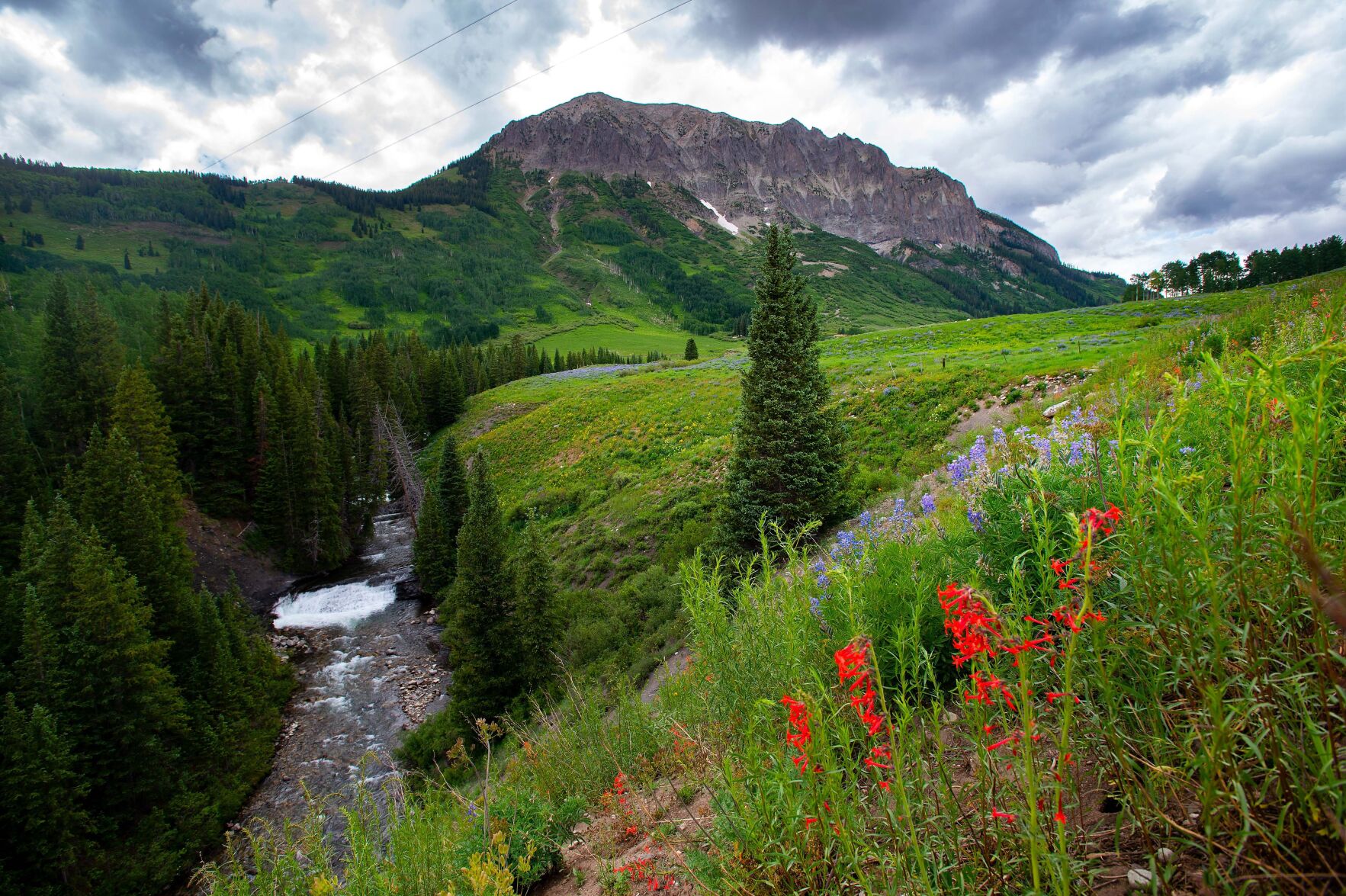 06_30_21 crested butte02910.jpg